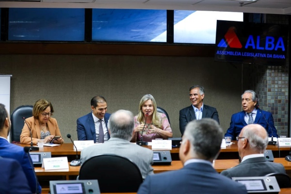 Ivana Bastos destaca protagonismo da Bahia em audiência sobre novo marco regulatório dos portos