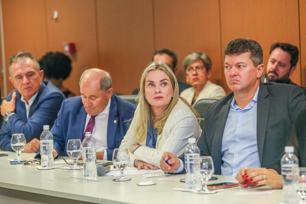 Após sugestão de Ivana Bastos, empresários do Oeste terão nova reunião com o governo para tratar de conflitos fundiários