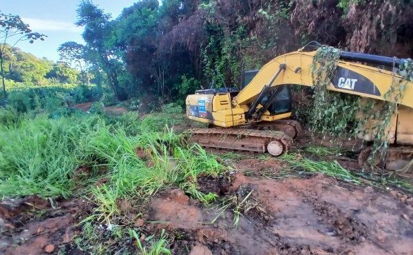 Lídice cobra explicações da Prefeitura de Salvador sobre irregularidades no “Pé na Escola” e desmatamento na Paralela