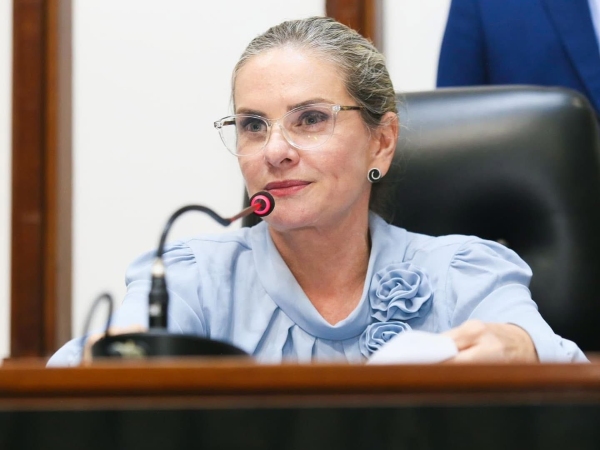 Presidente da ALBA destaca importância dos debates promovidos pelas comissões temáticas do Legislativo